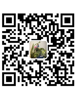 1587085943942617.jpg 圖片1.jpg